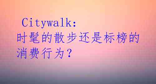  Citywalk：时髦的散步还是标榜的消费行为？