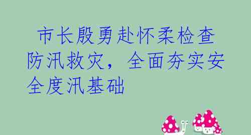  市长殷勇赴怀柔检查防汛救灾，全面夯实安全度汛基础