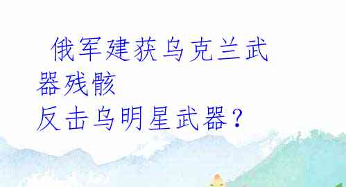  俄军建获乌克兰武器残骸 反击乌明星武器？