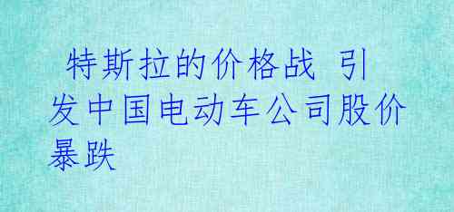  特斯拉的价格战 引发中国电动车公司股价暴跌