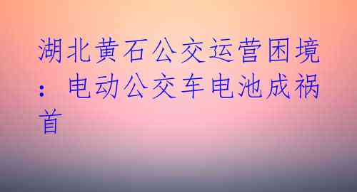 湖北黄石公交运营困境：电动公交车电池成祸首