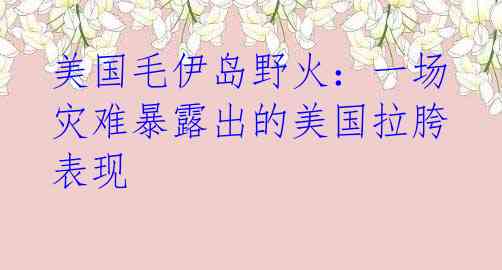 美国毛伊岛野火：一场灾难暴露出的美国拉胯表现