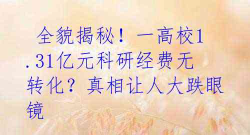  全貌揭秘！一高校1.31亿元科研经费无转化？真相让人大跌眼镜