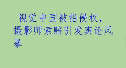  视觉中国被指侵权，摄影师索赔引发舆论风暴