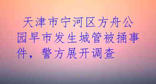  天津市宁河区方舟公园早市发生城管被捅事件，警方展开调查