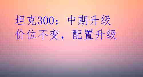  坦克300：中期升级 价位不变，配置升级