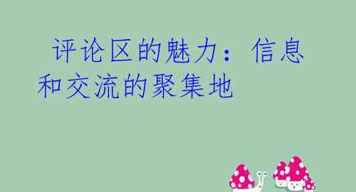  评论区的魅力：信息和交流的聚集地