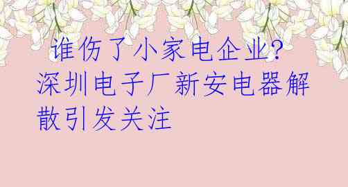  谁伤了小家电企业? 深圳电子厂新安电器解散引发关注