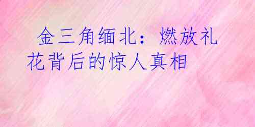  金三角缅北：燃放礼花背后的惊人真相