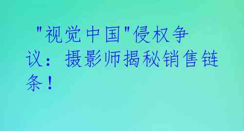  "视觉中国"侵权争议：摄影师揭秘销售链条！