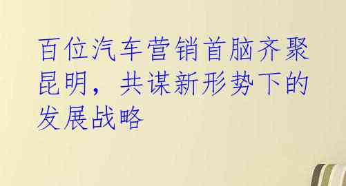 百位汽车营销首脑齐聚昆明，共谋新形势下的发展战略