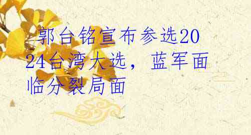  郭台铭宣布参选2024台湾大选，蓝军面临分裂局面