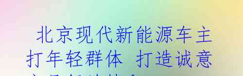  北京现代新能源车主打年轻群体 打造诚意产品伊兰特和MUFASA沐飒