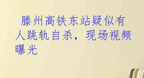  滕州高铁东站疑似有人跳轨自杀，现场视频曝光