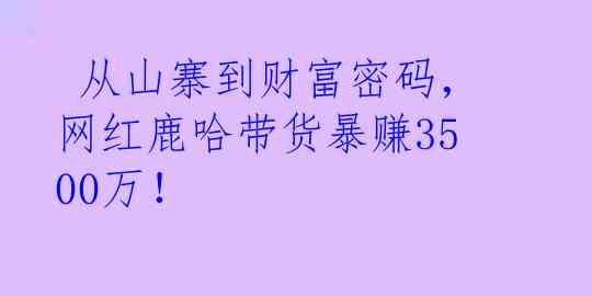  从山寨到财富密码，网红鹿哈带货暴赚3500万！