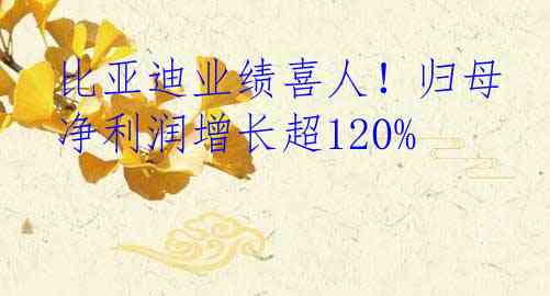 比亚迪业绩喜人！归母净利润增长超120%