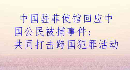  中国驻菲使馆回应中国公民被捕事件: 共同打击跨国犯罪活动 