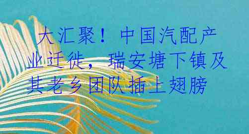  大汇聚！中国汽配产业迁徙，瑞安塘下镇及其老乡团队插上翅膀