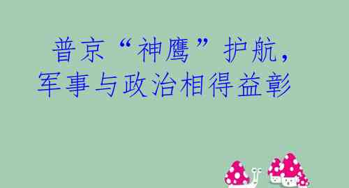  普京“神鹰”护航，军事与政治相得益彰