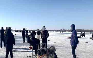  哈尔滨狗拉雪橇项目引热议 文旅部门已叫停