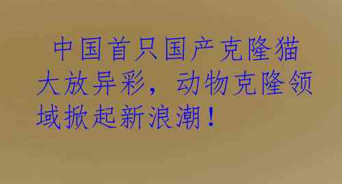  中国首只国产克隆猫大放异彩，动物克隆领域掀起新浪潮！