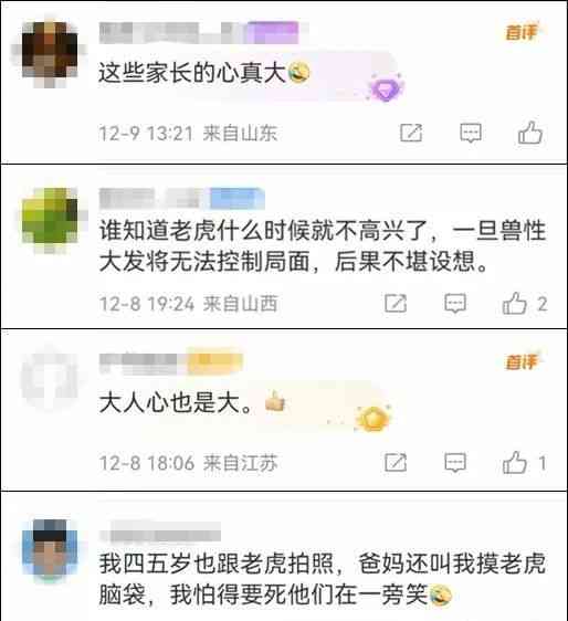  跑赢恐惧！广西马戏团惊现触目惊心的虎拍照事件