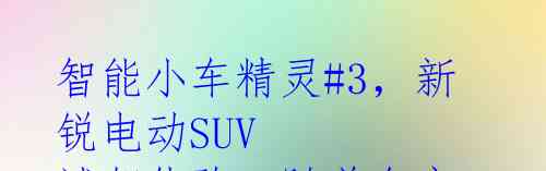 智能小车精灵#3，新锐电动SUV 试驾体验

随着各家车企纷纷推出电动车产品，市场上的选择也越来越多。其中，个性独特的品