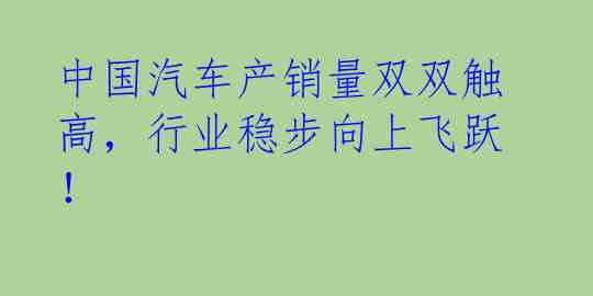 中国汽车产销量双双触高，行业稳步向上飞跃！