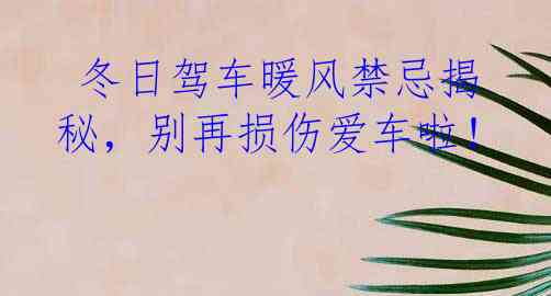  冬日驾车暖风禁忌揭秘，别再损伤爱车啦！