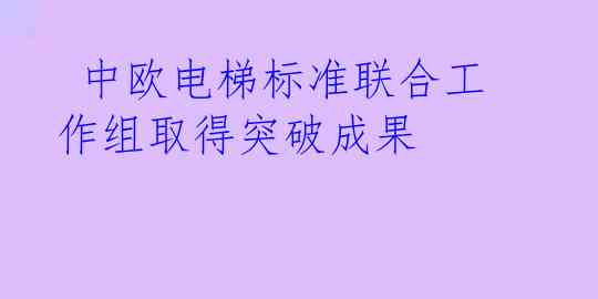  中欧电梯标准联合工作组取得突破成果