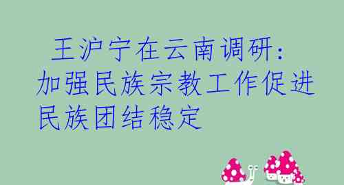  王沪宁在云南调研:加强民族宗教工作促进民族团结稳定