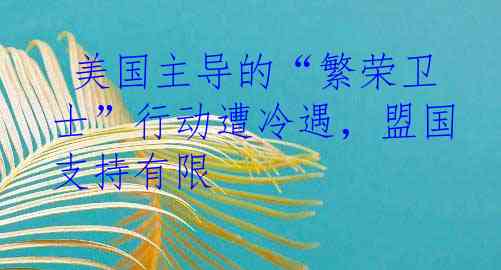  美国主导的“繁荣卫士”行动遭冷遇，盟国支持有限