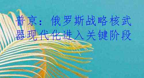 普京：俄罗斯战略核武器现代化进入关键阶段