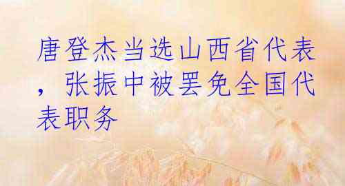 唐登杰当选山西省代表，张振中被罢免全国代表职务