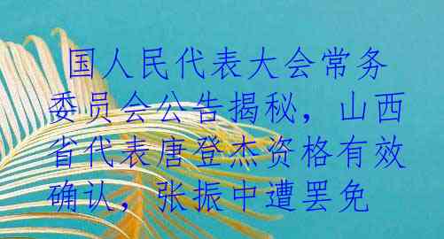  国人民代表大会常务委员会公告揭秘，山西省代表唐登杰资格有效确认，张振中遭罢免