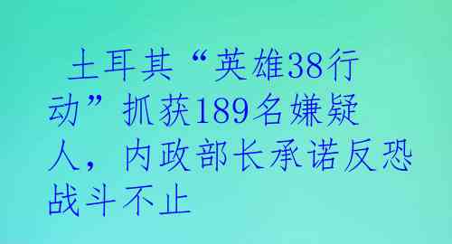  土耳其“英雄38行动”抓获189名嫌疑人，内政部长承诺反恐战斗不止