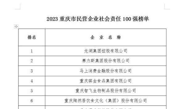 赛力斯汽车荣膺重庆民企社会责任百强榜第2名