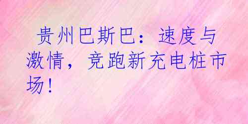  贵州巴斯巴：速度与激情，竞跑新充电桩市场!