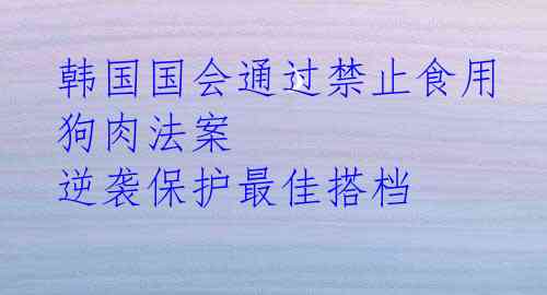 韩国国会通过禁止食用狗肉法案 逆袭保护最佳搭档
