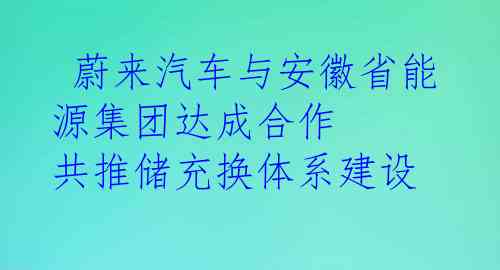  蔚来汽车与安徽省能源集团达成合作 共推储充换体系建设