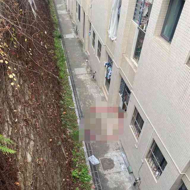 悲剧！大学生宿舍女生坠楼身亡，引发思考与警示