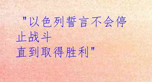  "以色列誓言不会停止战斗 直到取得胜利"