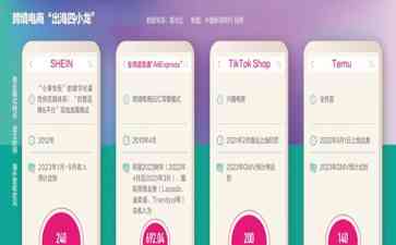  "出海四小龙"挑战亚马逊,迎战电商竞赛风暴