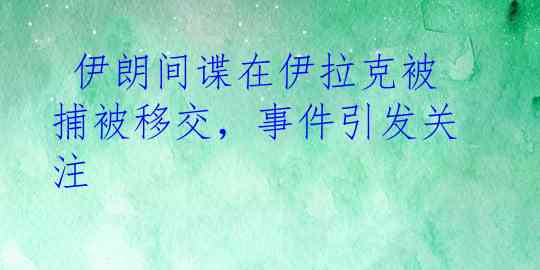  伊朗间谍在伊拉克被捕被移交，事件引发关注