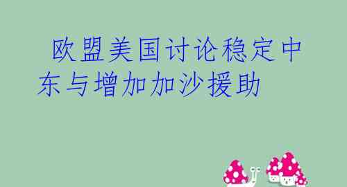  欧盟美国讨论稳定中东与增加加沙援助