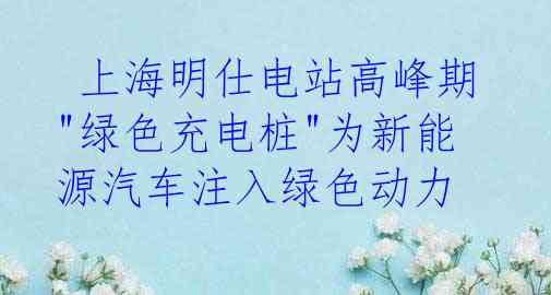  上海明仕电站高峰期 "绿色充电桩"为新能源汽车注入绿色动力