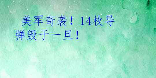  美军奇袭！14枚导弹毁于一旦！