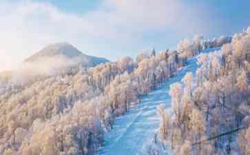 狂欢百姓的滑雪梦境