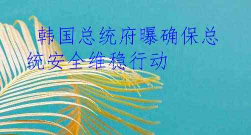  韩国总统府曝确保总统安全维稳行动