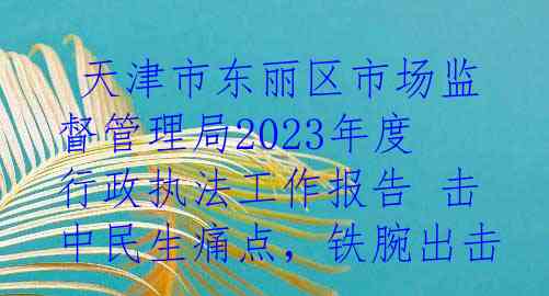  天津市东丽区市场监督管理局2023年度行政执法工作报告 击中民生痛点，铁腕出击